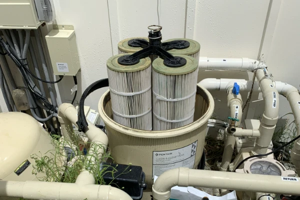 Pool Filter Cleaning